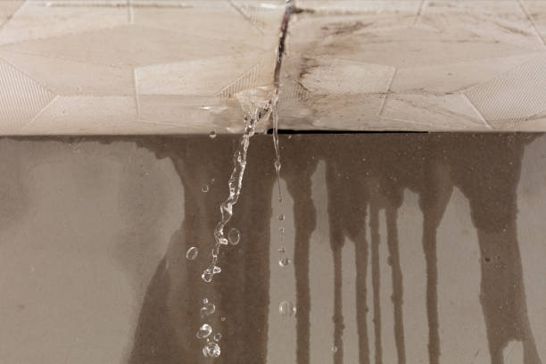 Professional Water Damage Inspection technician working in Bairdford, PA